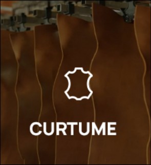 Curtume